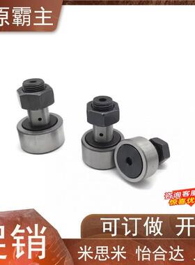 BPF21/22-d3-d4-d5-d6-d8-d10-d12-d20-d24-d30-PP凸轮轴承随动器