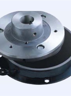 BQ-B-5 BQ-B-10/BQ-B-2.5-D100型干式单板电磁制动器抱闸刹车DC24