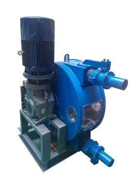 盛唐STRD/50 Ce Isov工业软管泵 高耐磨蠕动软管泵 蠕动挤压软管