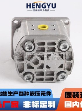 HPI齿a轮泵P1BAN2008BL10B02N P3BAN2022CL10B02N C5082379液压泵