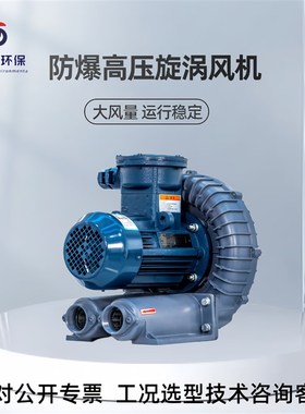 智洁风 FB-1010物料干燥正压A送风机 7.5千瓦耐腐蚀防爆高压鼓风