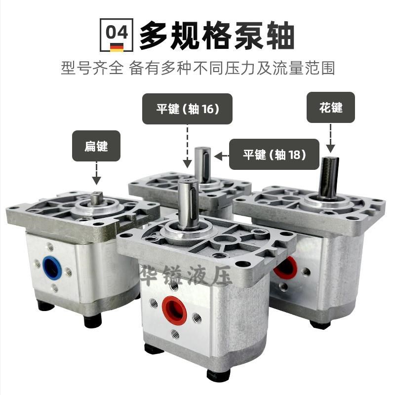 HENRYD齿轮油泵CBT-F310 CBN-F304/F306/FJ316/E314/320/325FER2