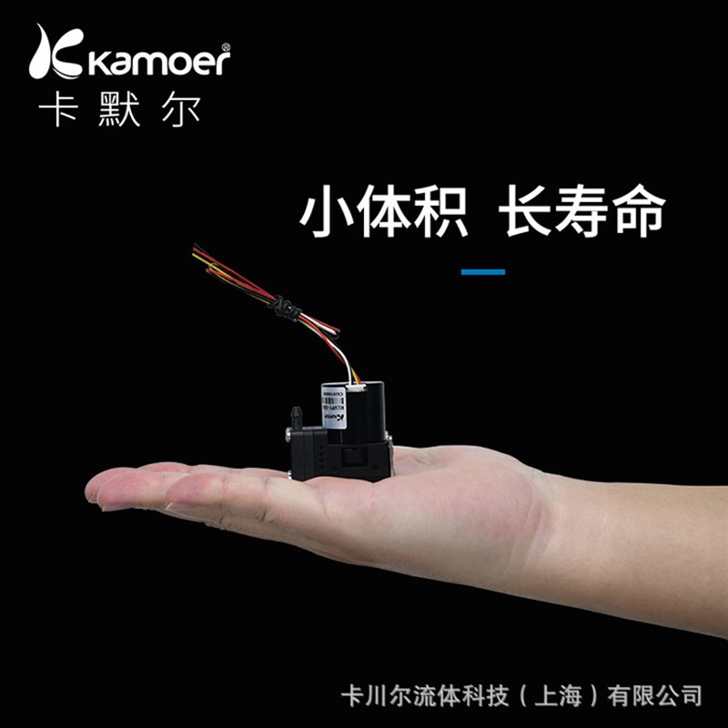 卡默尔微型真空泵无刷泵气泵1w2v迷你气泵24V有刷小型泵稳定可控
