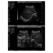 牧场便携式 厂家直销跨境英文版 B超机S30BC动物医院 兽医黑白超声
