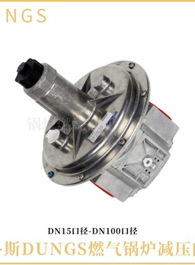 德国DUNGS燃气减压阀FRS505 FRS510 FRSF520 503 507 FRS515调压