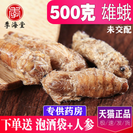 季海堂雄蚕蛾纯公蝉俄晚娥魏蚕峨未交配雄天蛾男性500g中药材泡酒