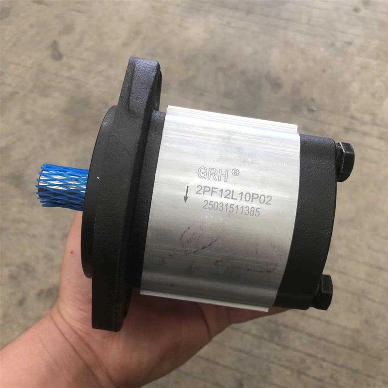 GRH国瑞液压 2PF12LB10P02 液压油泵齿轮泵全新