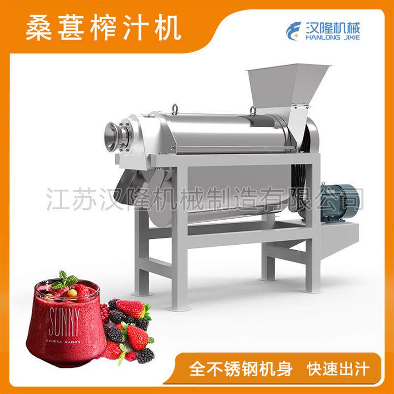 厂价供应出汁率高小型工业桑椹子桑葚螺旋榨汁机水果蔬菜打汁机