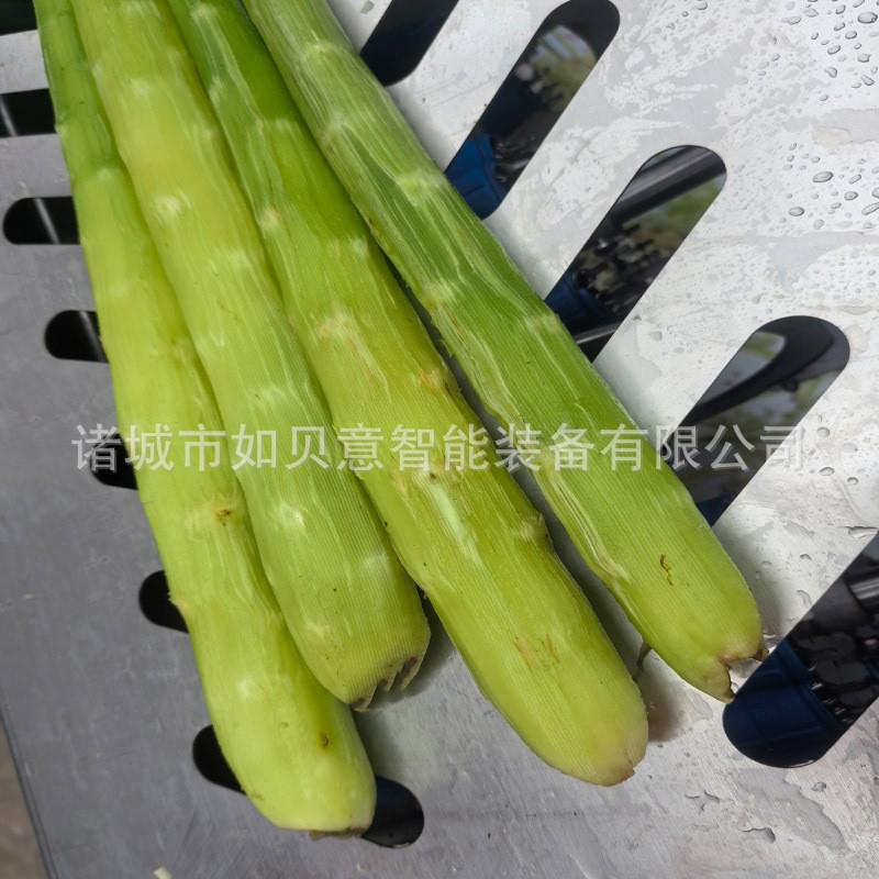 木薯牛蒡莴笋削皮设备 根茎类果蔬削皮机 茄子去皮机