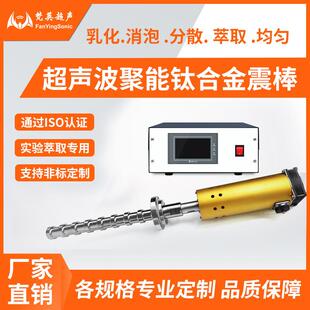 振棒震动棒 实验室用工业级超声波清洗机清洗棒细胞提取分散投入式