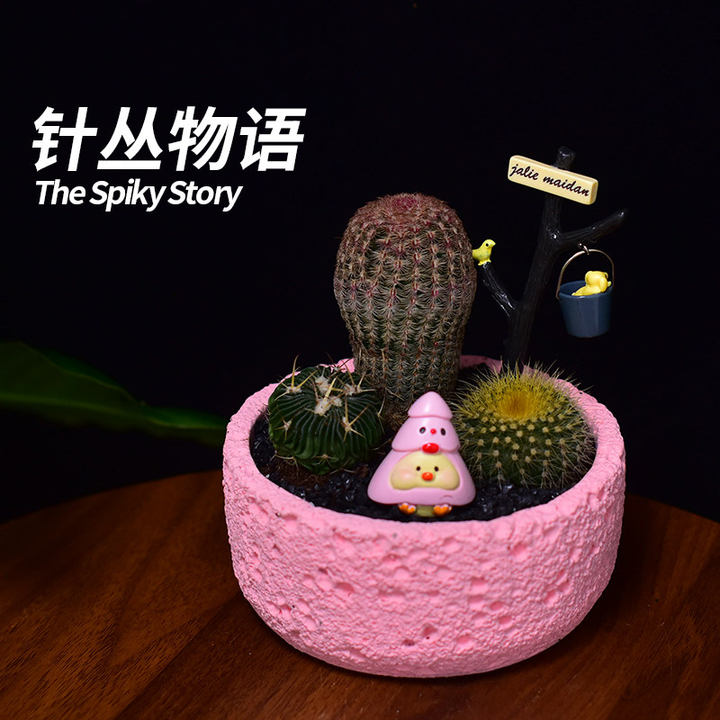【刺头玩家-针丛物语】仙人掌组多肉植物