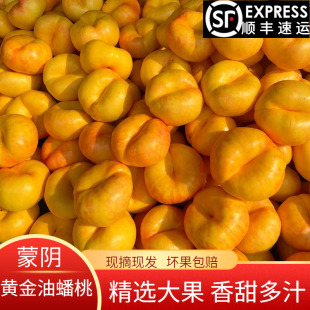 蒙阴黄油蟠桃新鲜水果彩虹黄油蟠桃黄油盘桃脆甜爆汁整箱5斤包邮