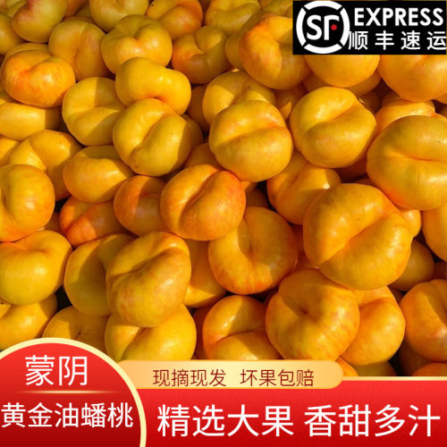 黄油蟠桃新鲜水果蒙阴包邮