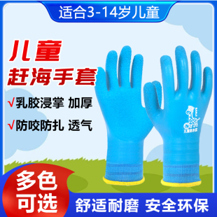 儿童赶海手套双面防水专用加长仓鼠防咬安全防护刺抓螃蟹装 备工具
