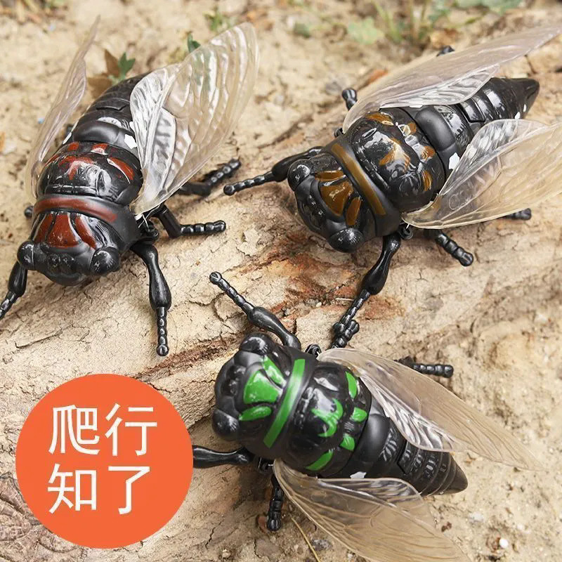 儿童发条爬行昆虫玩具仿真动物金蝉模型男孩上链条创意知了夏蝉