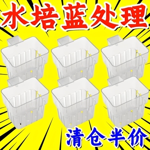 鱼缸水培架定植篮壁挂式植物固定