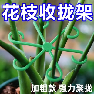 龟背竹固定神器支撑杆植物防倒伏花卉支撑架天堂鸟花架枝干收拢架