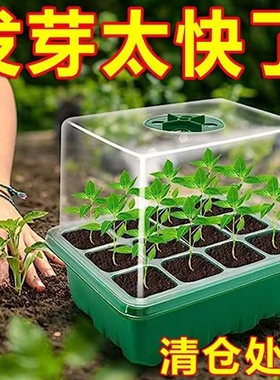 加高育苗箱闷养箱小温室保温保湿保暖箱塑料育苗托盘接水盘播种盒