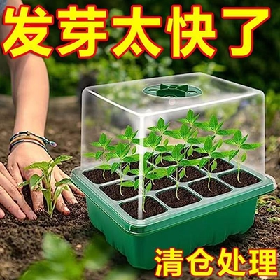 加高育苗箱闷养箱小温室保温保湿保暖箱塑料育苗托盘接水盘播种盒