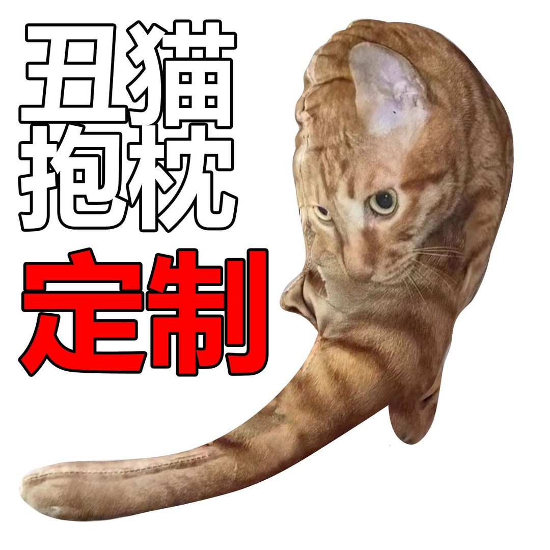 无描边宠物抱枕无白边丑猫玩偶定制无边玩偶异形猫猫巨丑猫咪抠图