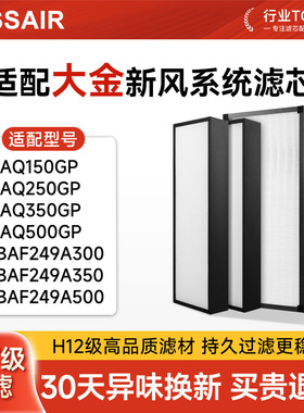 适配大金新风系统IAQ150GP过滤网250/350/500GP全热交换器滤芯BAF