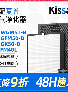 适配夏普空气净化器过滤网FU-GK50/FP-FM40L滤芯除甲醛FZ-F40SFE