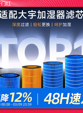 适配DAEWOO大宇加湿器净化滤芯J6PRO/PH01/02/06S/J20无雾过滤网