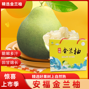 【首单立降】正宗安福蚕子江西特产井冈蜜柚吉安金兰柚蚕子柚10斤