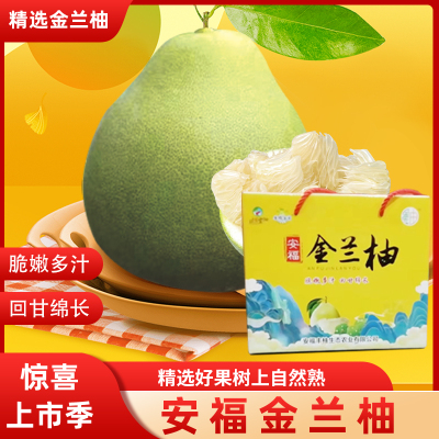 吉安金兰柚井冈蜜柚包邮