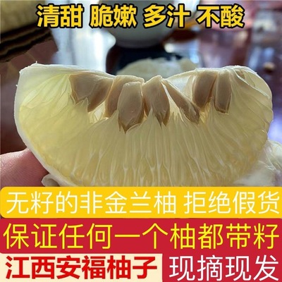 【首单立降】正宗安福蚕子江西特产井冈蜜柚吉安金兰柚蚕子柚10斤