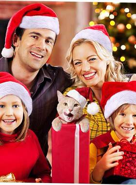 Christmas Hat+3D Santa Claus Beard Masks for Adult Kids