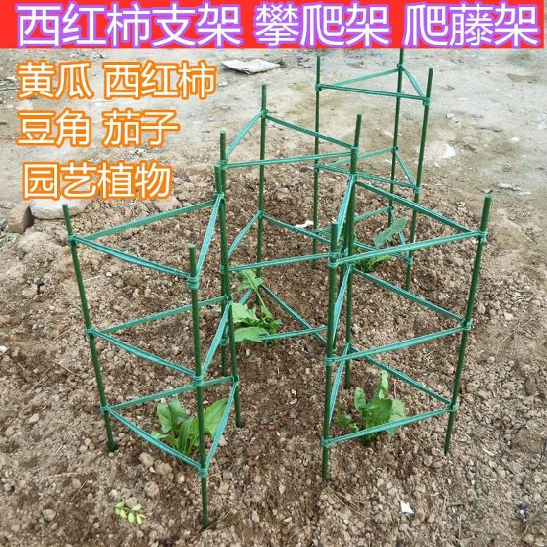 塑料爬藤架天台花园小番茄西红柿撑杆园艺架楼顶简易
