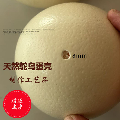 天然鸵鸟蛋壳 艺术品摆件绘画制作