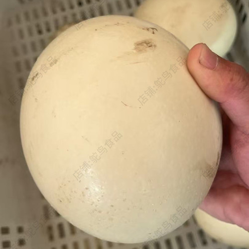 鸵鸟蛋臭蛋液钓鱼鲢鳙饵料