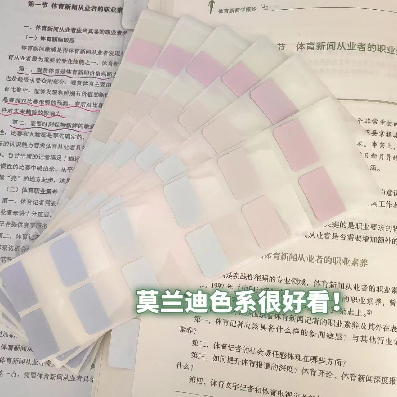 课堂笔记贴透明莫兰迪标