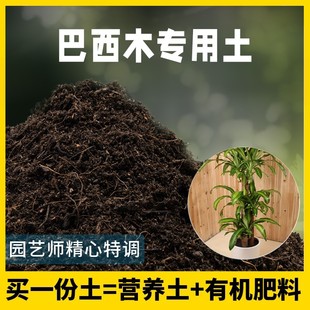 巴西木专用土5斤装园艺盆栽优质有机营养土绿植专用沙质泥炭土肥