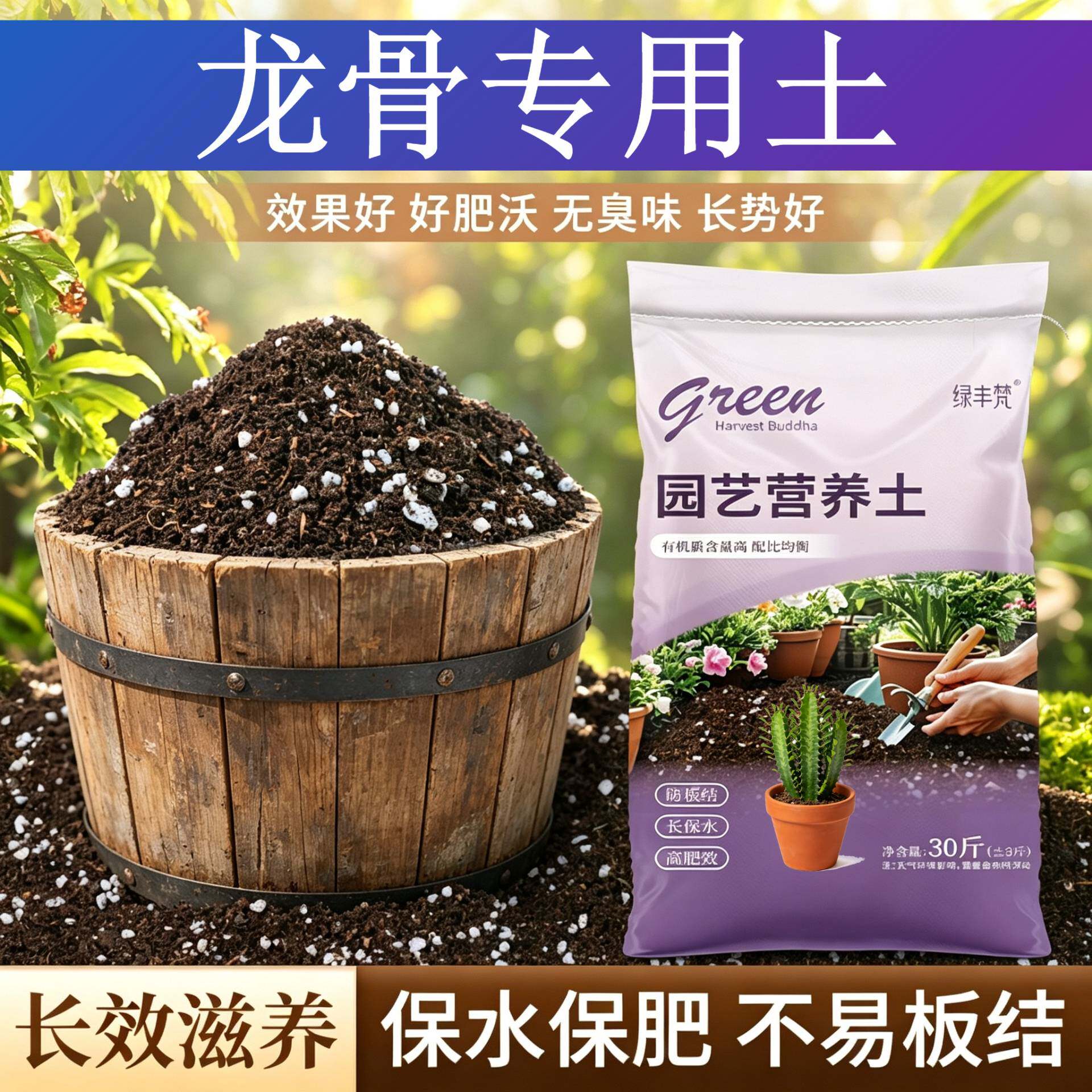 龙骨专用盆景土根壮苗好高温灭菌阳台加牛粪精选绿叶球根不板结