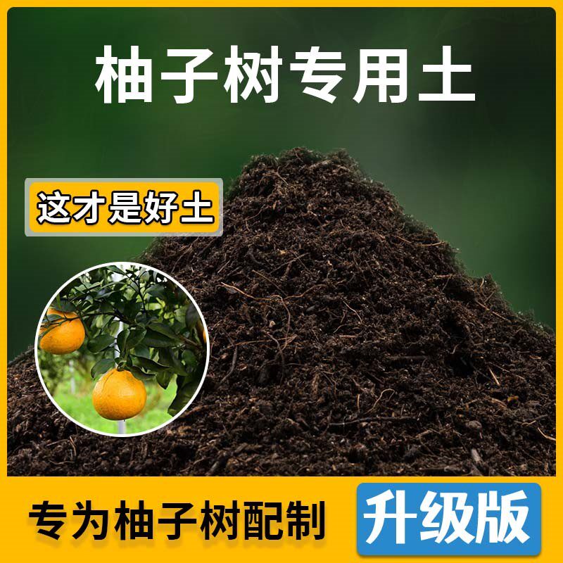 柚子树专用土柚子树营养土家用种植土壤家庭盆栽种花养花有机土