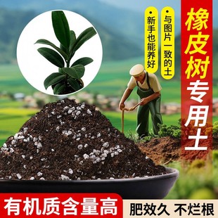 橡皮树营养土适用土疏松透气含泥炭肥料通用有机种植土批发专用土