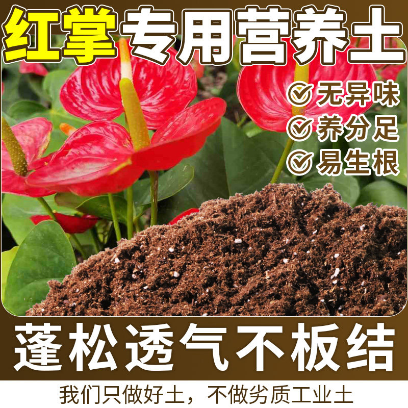 红掌适用泥炭土腐殖土蓬松多孔根壮苗好室内盆栽土园土绿叶酸性土