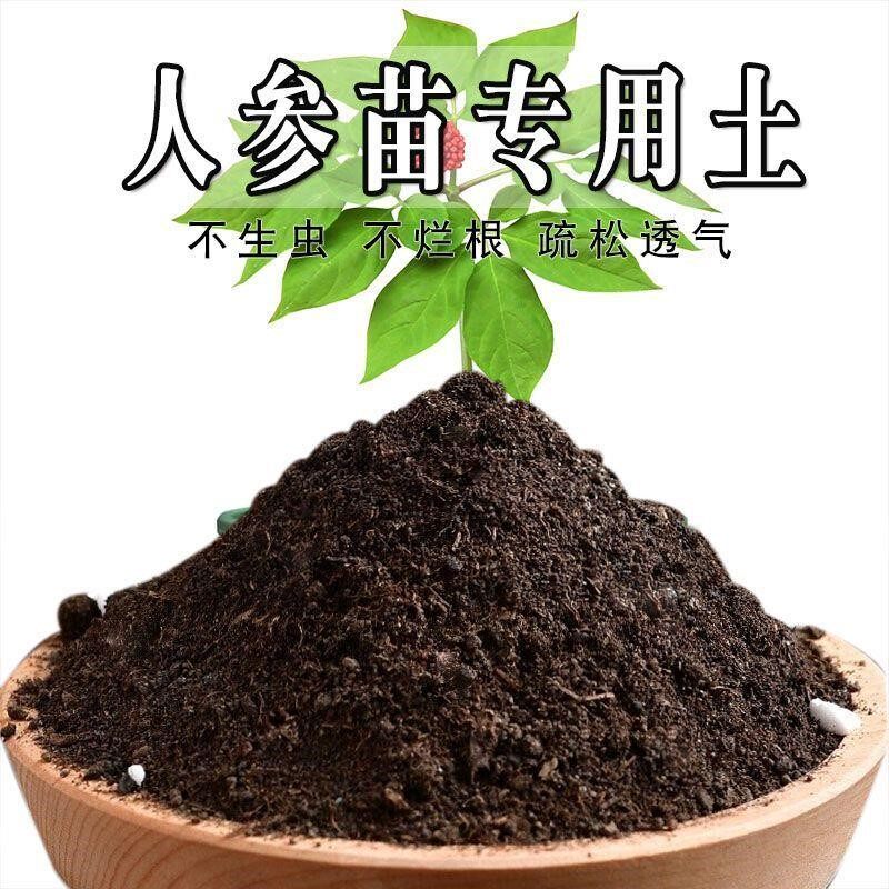 人参苗专用土人参苗专用营养土盆栽土养花种花土通用种植土壤肥料