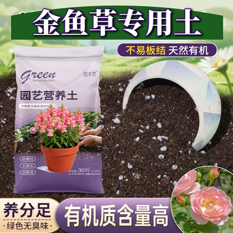 金鱼草适用含泥炭不闷根育苗大包优质绿叶木本观花加有机肥观叶