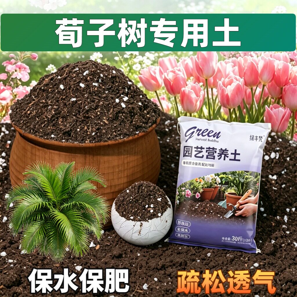 荀子树专用养花土高温灭菌防烂根菜园包邮有机防徒长多肉观花室内