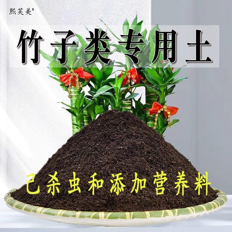 竹子类盆栽营养土疏松透气科学配比扦插种植土专用屋顶泥炭土嫁接