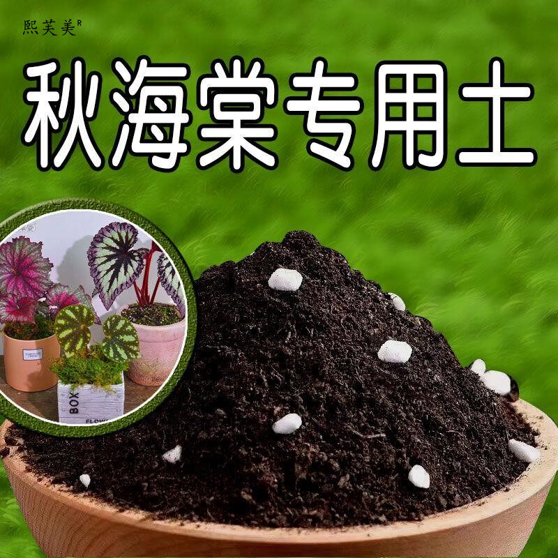 秋海棠专用土秋海棠营养土有机土壤绿植盆栽养花种花土种植土家用
