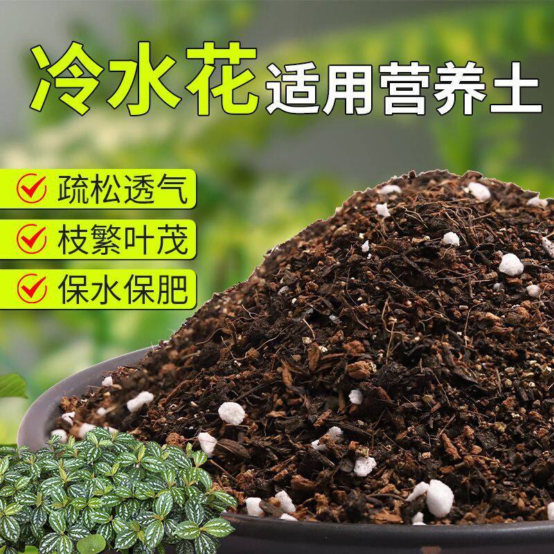 【冷水花专用土】疏松透气盆栽绿植专用室内植物有机营养土肥料