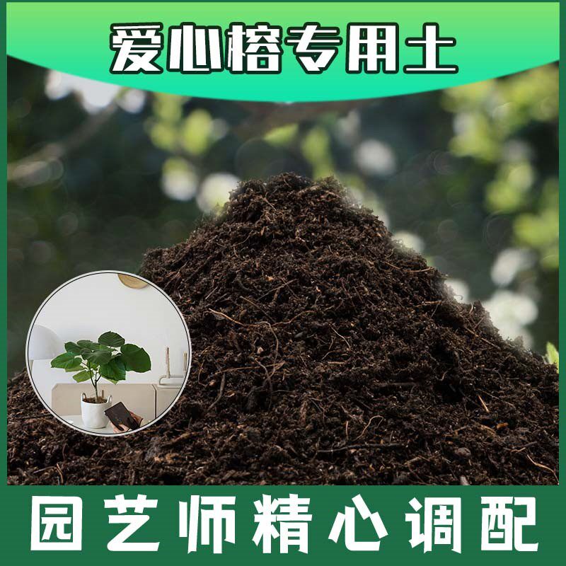 爱心榕专用土腐殖土种花养花盆栽土爱心榕营养土肥料种植有机土壤