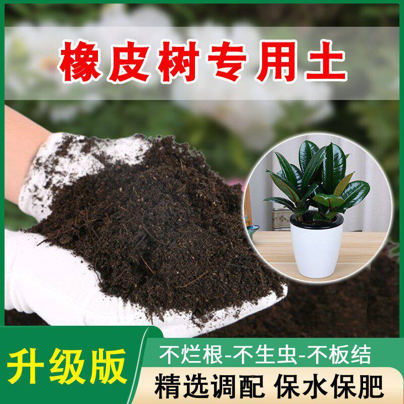橡皮树专用土家庭盆栽营养土通用土园艺养花绿植精选有机肥料土壤
