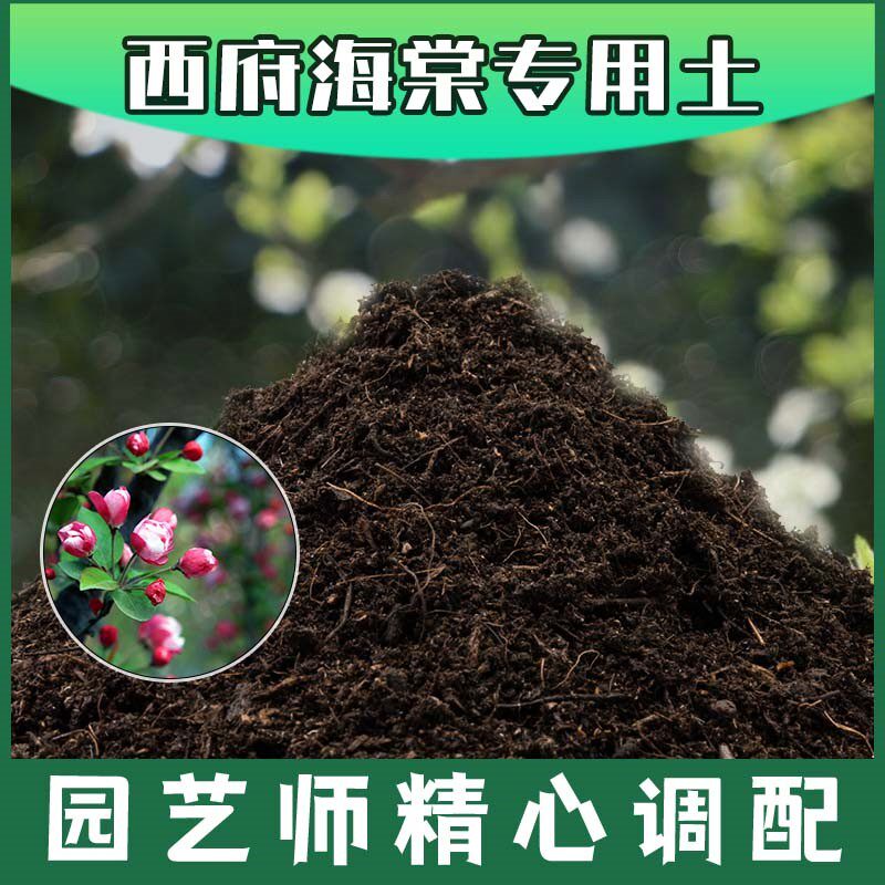 西府海棠专用土腐殖土种花盆栽土西府海棠营养土肥料种植有机土壤
