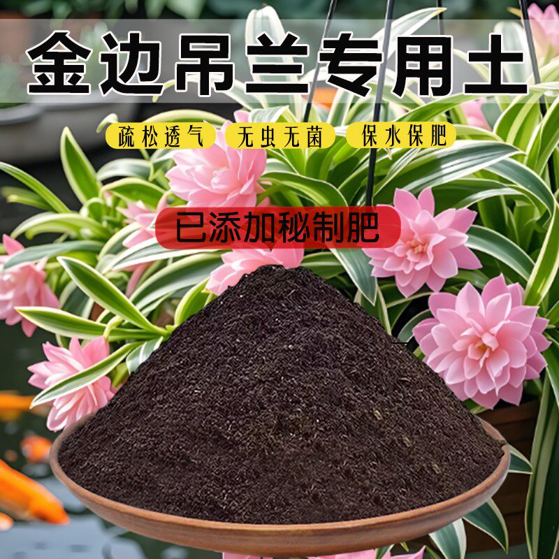 金边吊兰专用土养花土肥料土通用土花卉土透气金边吊兰营养土泥土